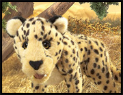 Cheetah Puppet